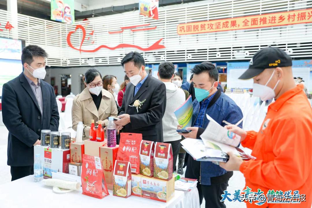28.91亿元落子高原！青海两个算力项目通过备案，绿电沃土加速崛起