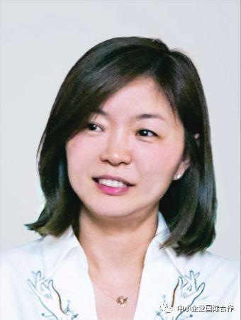 辉创电子境外上市备案获证监会反馈，合规与业务可持续性成问询焦点